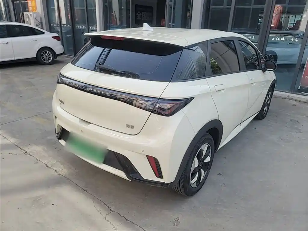 BYD Dolphin 2024 Glory Edition 420km Freedom Edition фото 5