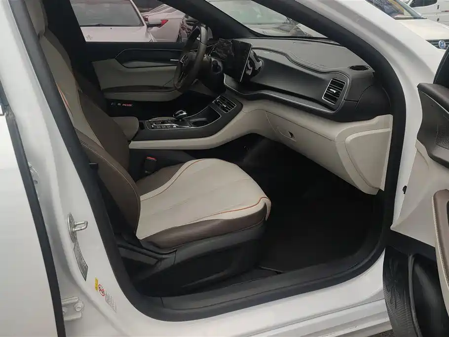 BYD Qin PLUS 2023 Champion Edition DM-i 120KM Leading Type фото 8