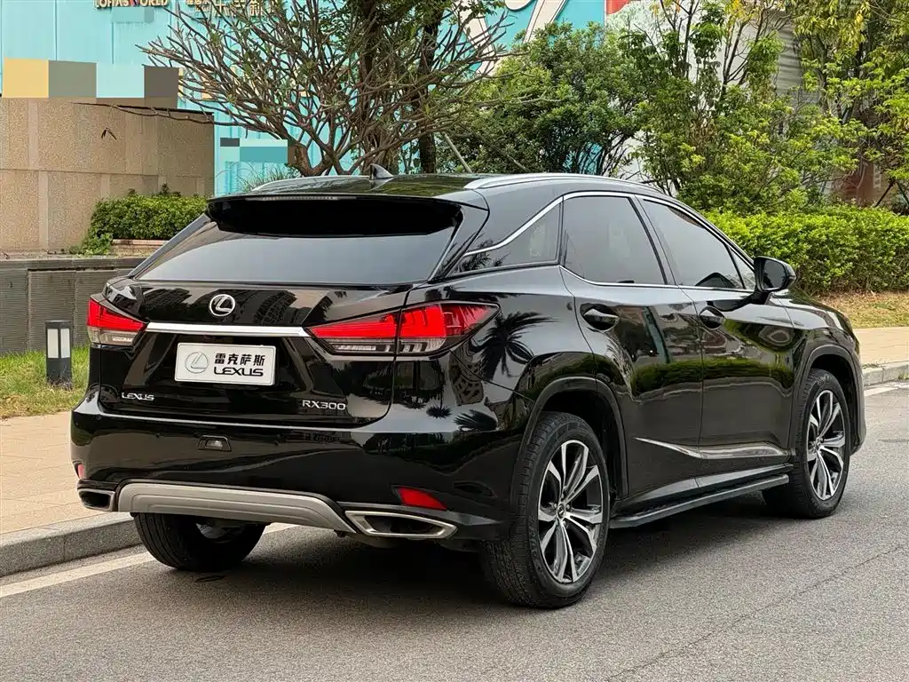 LEXUS RX