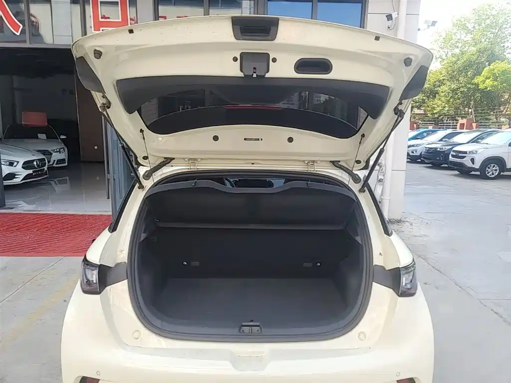 BYD Dolphin 2024 Glory Edition 420km Freedom Edition фото 15