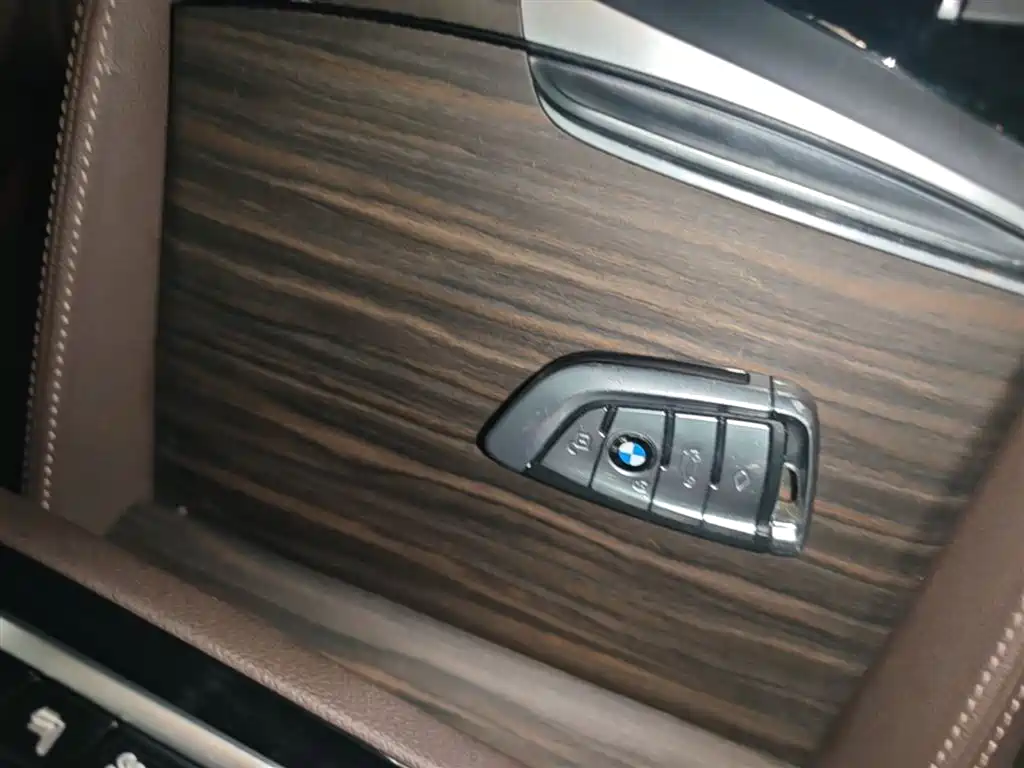 BMW 5 Series New Energy 2020 530Le Range Upgrade Pioneer Edition фото 9