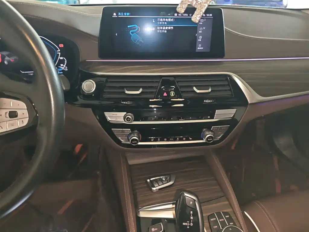 BMW 5 Series New Energy 2020 530Le Range Upgrade Pioneer Edition фото 13