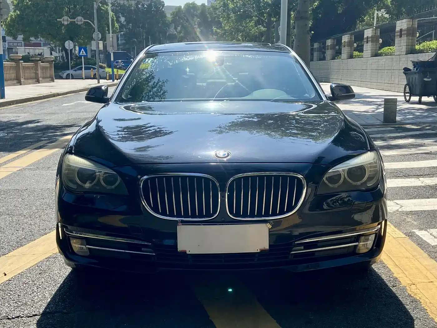 BMW 7 Series 2013 Model 730Li Leading фото 2