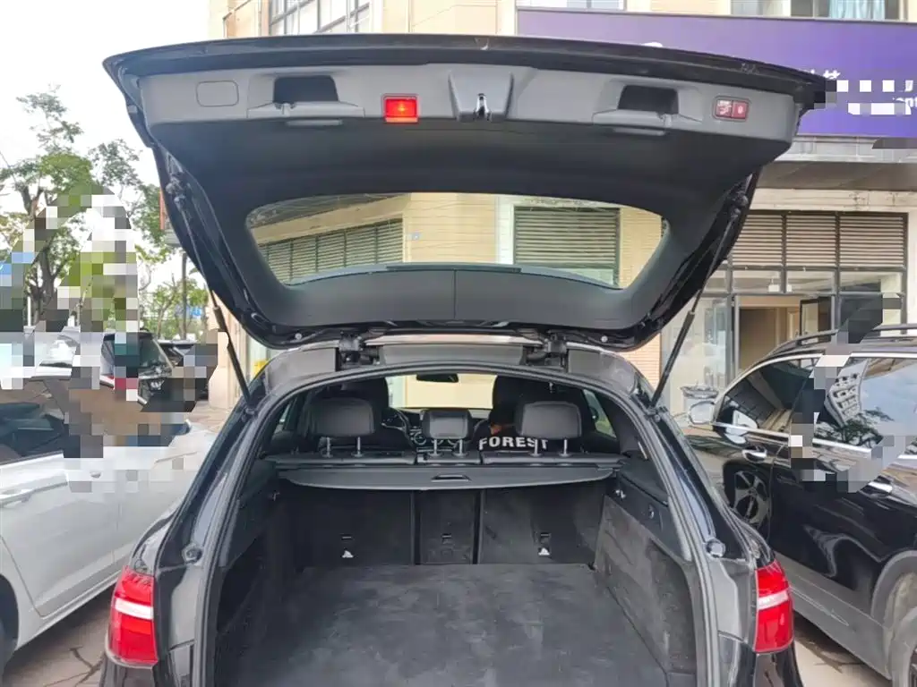 Mercedes-Benz GLC 2017 GLC 260 4MATIC Luxury фото 19