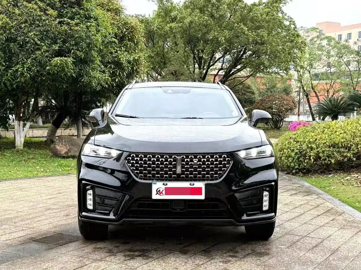2021 WEY VV7
