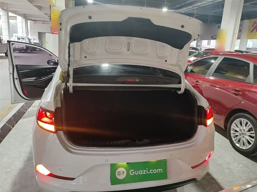 Hyundai Elantra 2018 1.6L Automatic Pleasing Edition GL China VI фото 19