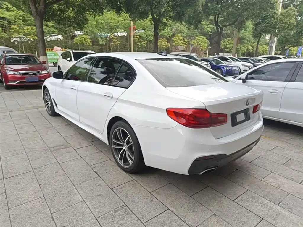 BMW 5 Series 2018 525Li M Sport Package фото 5