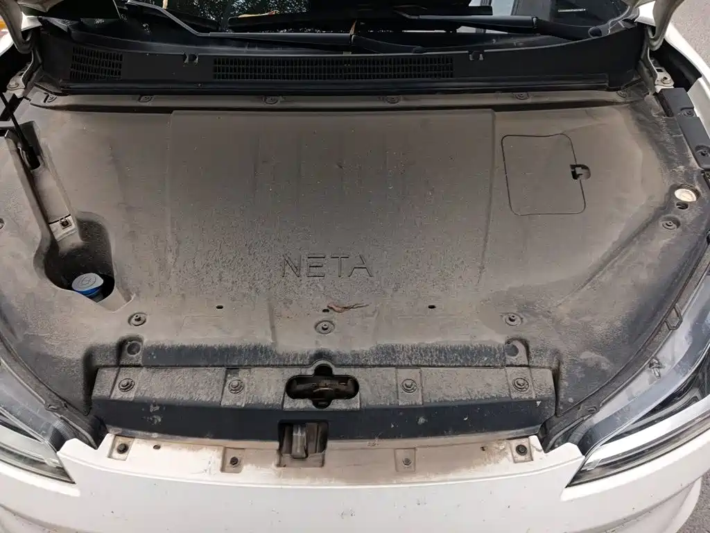 Nezha Auto Nezha V 2023 2022 Trend 300 Lite LFP