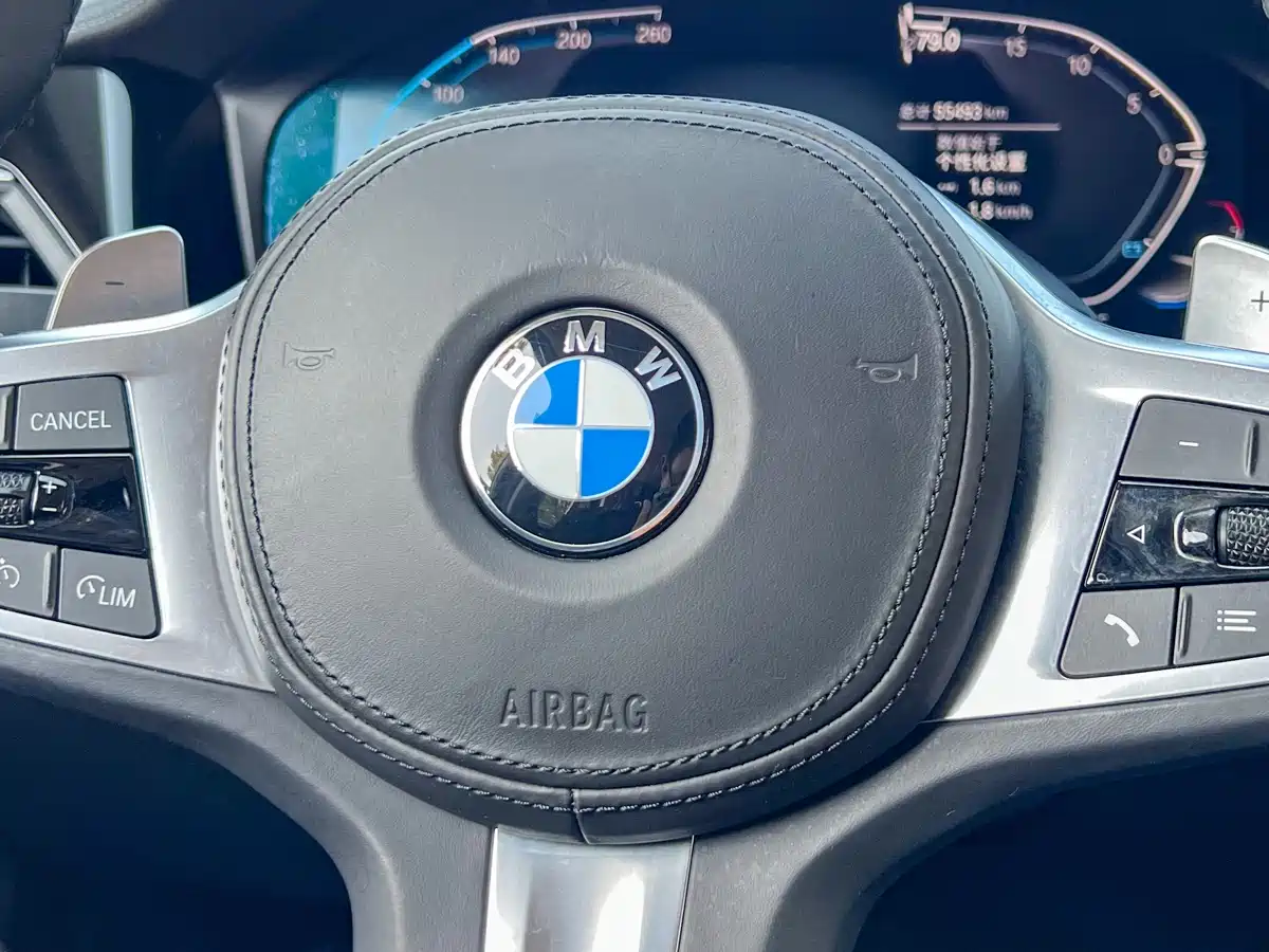 BMW 3 Series 2022 325Li M Sport Shadow Edition фото 10