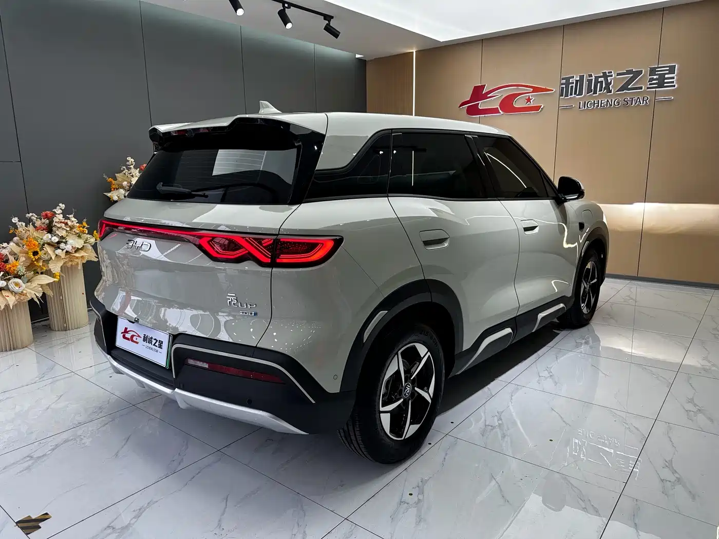 BYD Yuan UP 2025 2025 Smart Drive Edition 401KM Leading Type