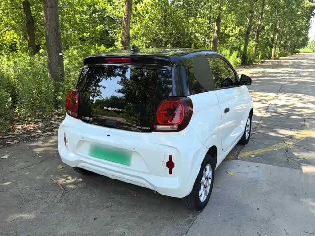 Roewe Kaiwei CLEVER 2023 2022 311km Vitality Bobo Edition