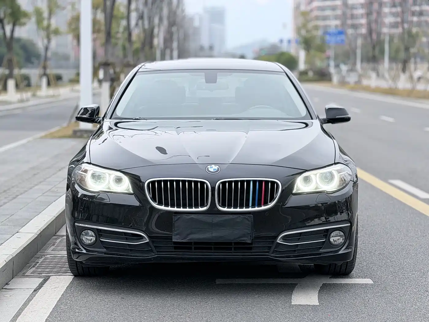 BMW 5 Series 2017 525Li Luxury Design Package фото 2