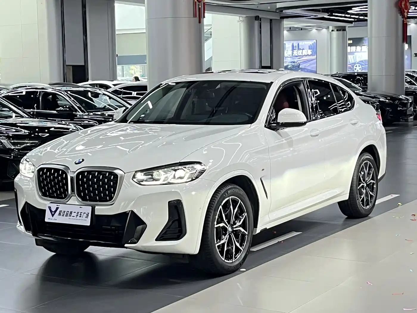 BMW X4 2022 xDrive 25i M Sport Package