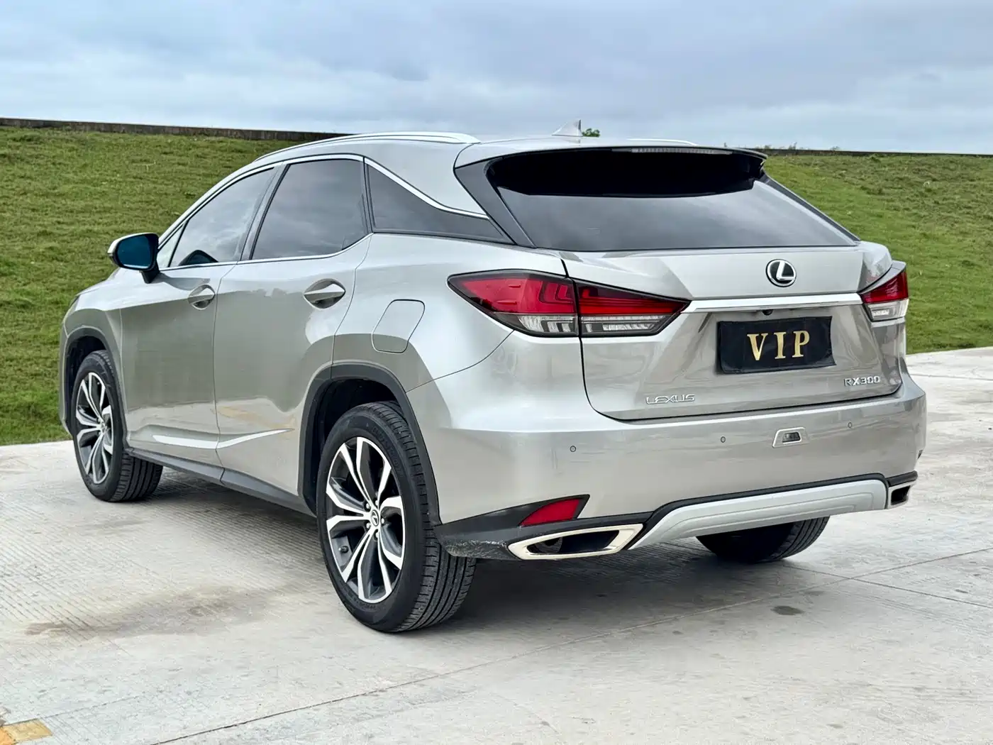 Lexus RX 2020 300 4WD Elegance Edition China VI фото 7