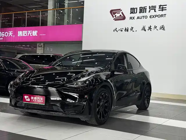 Tesla Model Y 2021 Long Range All-Wheel Drive 3D7