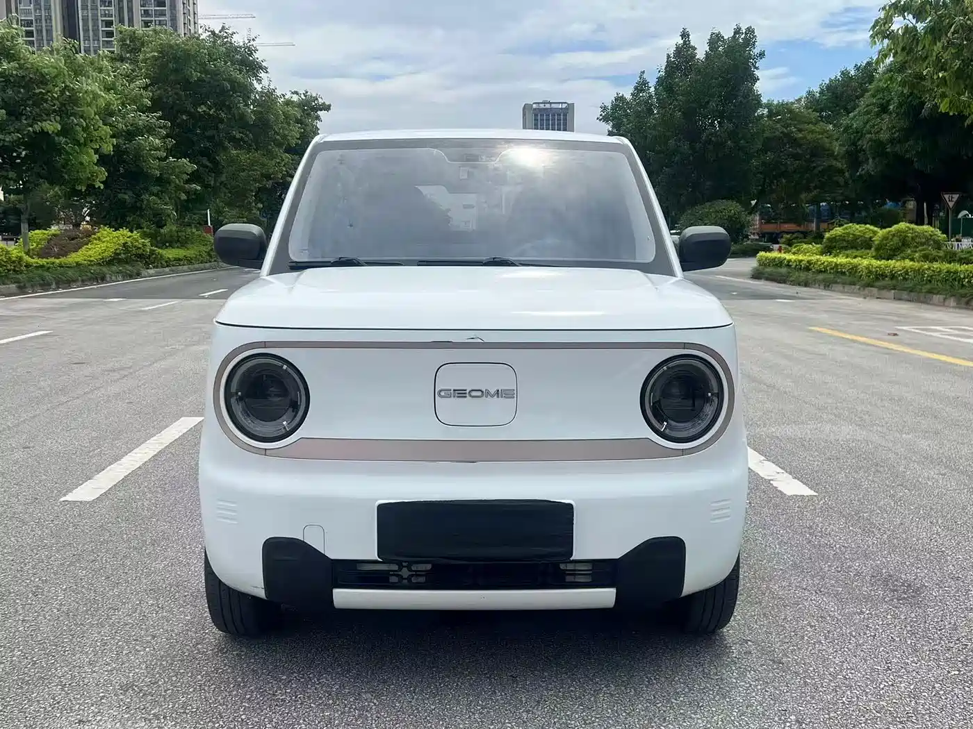 Geely Galaxy Panda 2023 2023 Panda Mini 200km Lively Bear