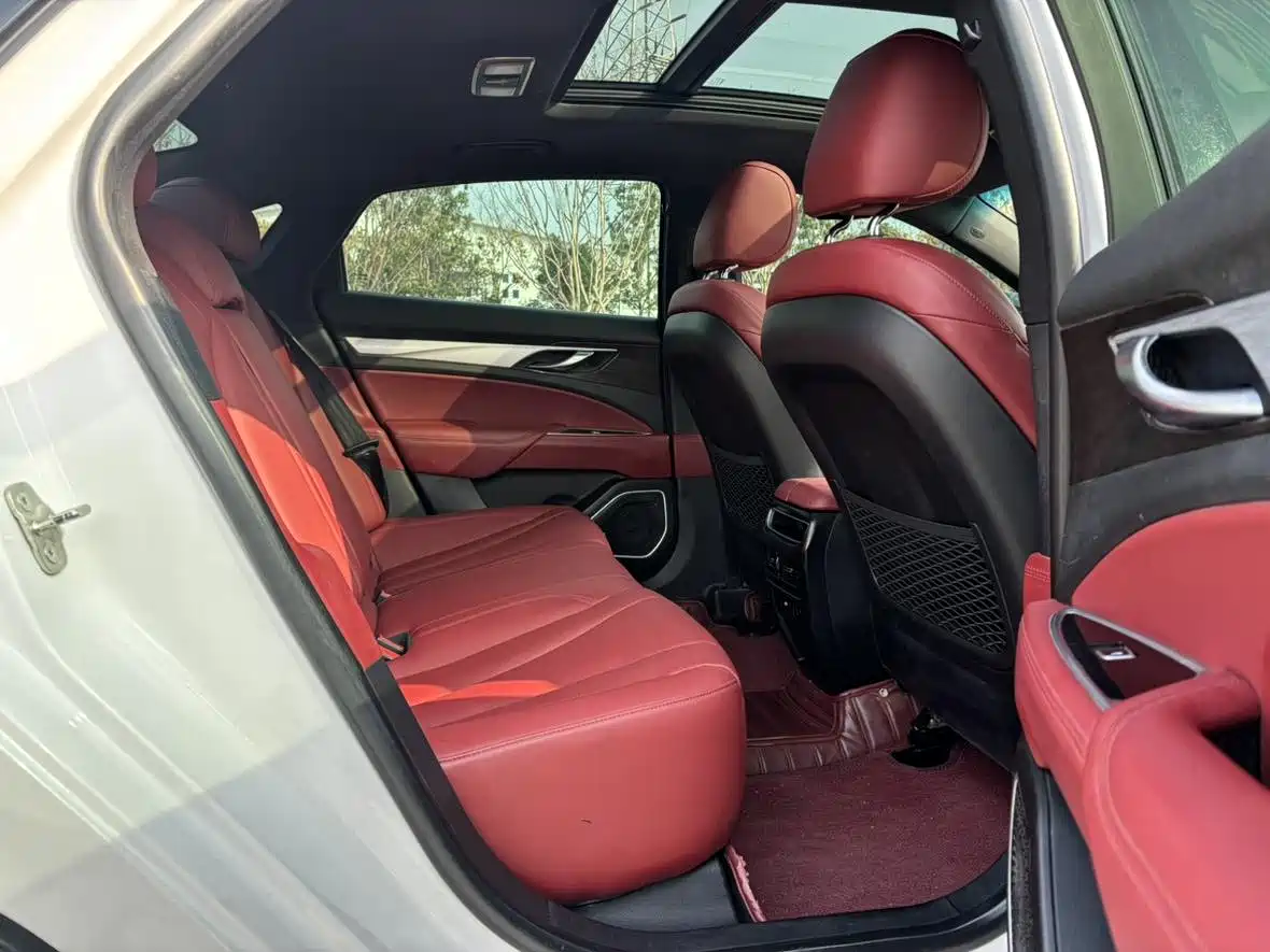 Фото 7 - Geely Borui
