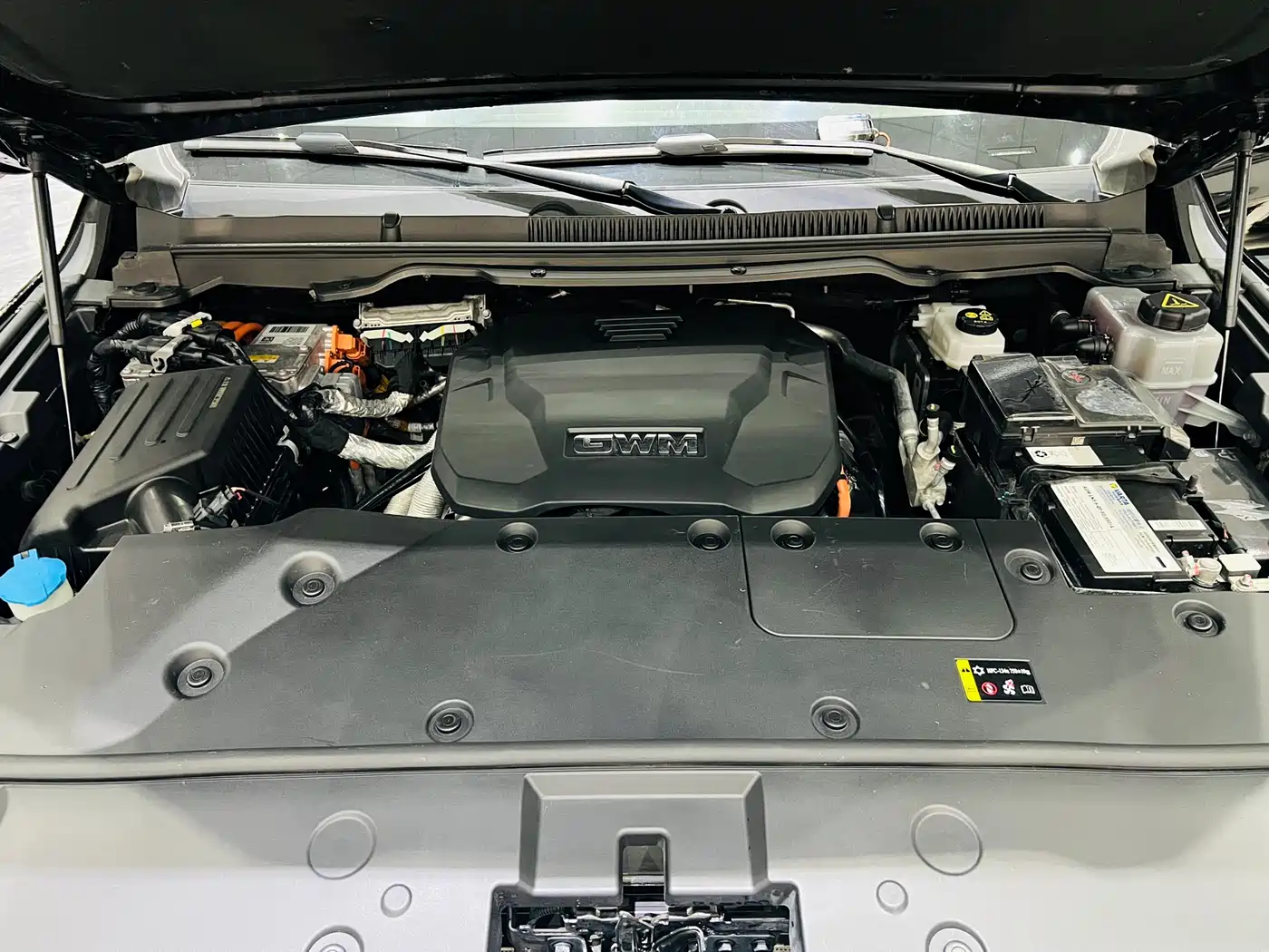 Tank 500 EV 2023 Hi4-T фото 8