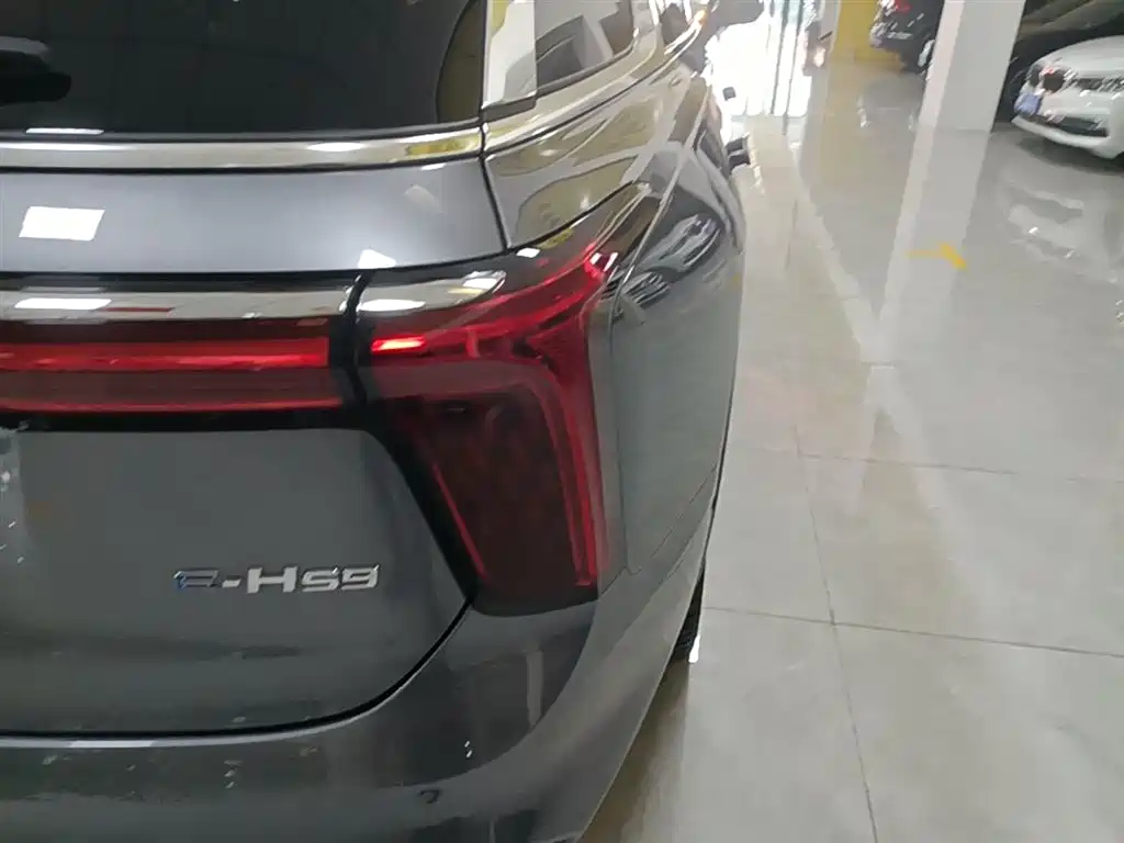 Hongqi E-HS9 2022 660km Qi Chang Edition (6-seater) фото 8