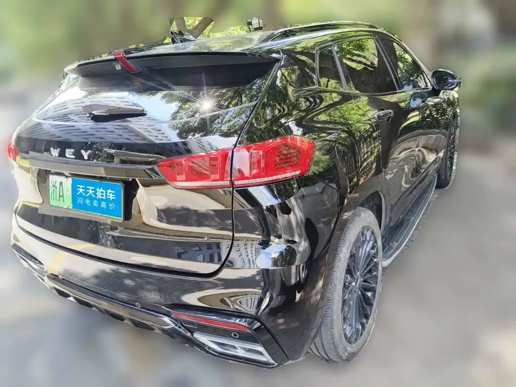 WEY VV7 New Energy 2020 2020 PHEV 2.0T Flagship Model