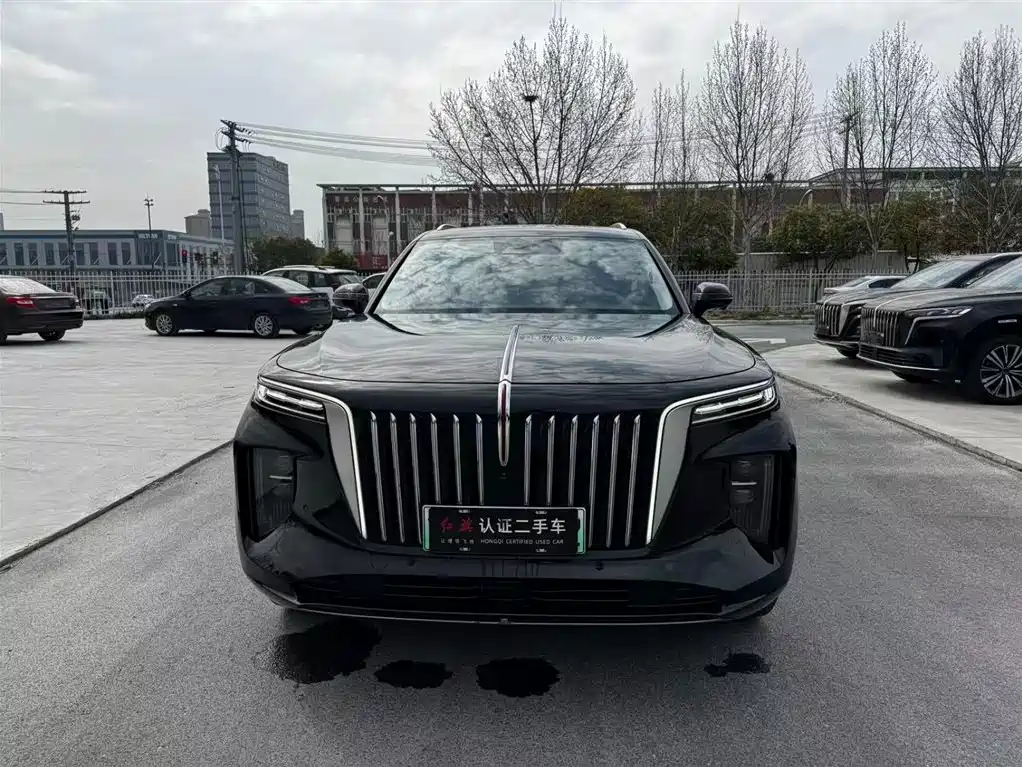 Hongqi HONGQI E HS9