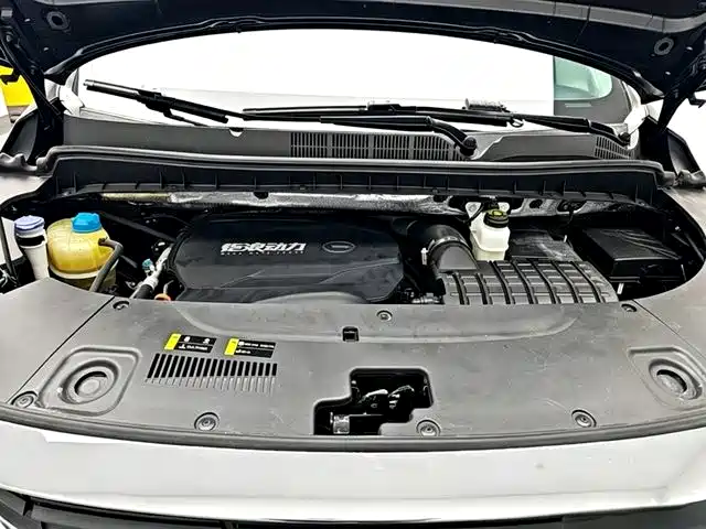 GAC Trumpchi Trumpchi M8 2021 Leading Show Series 390T Ultimate Edition фото 19
