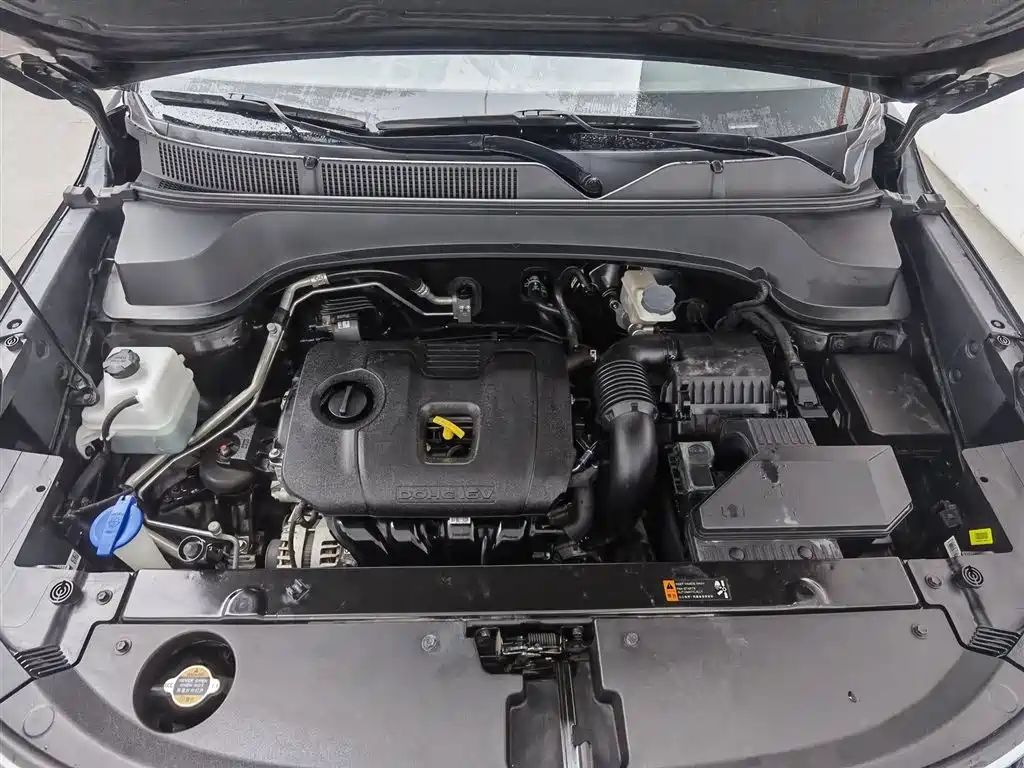Kia Sportage 2019 2.0L Automatic Smart Luxury Edition фото 6