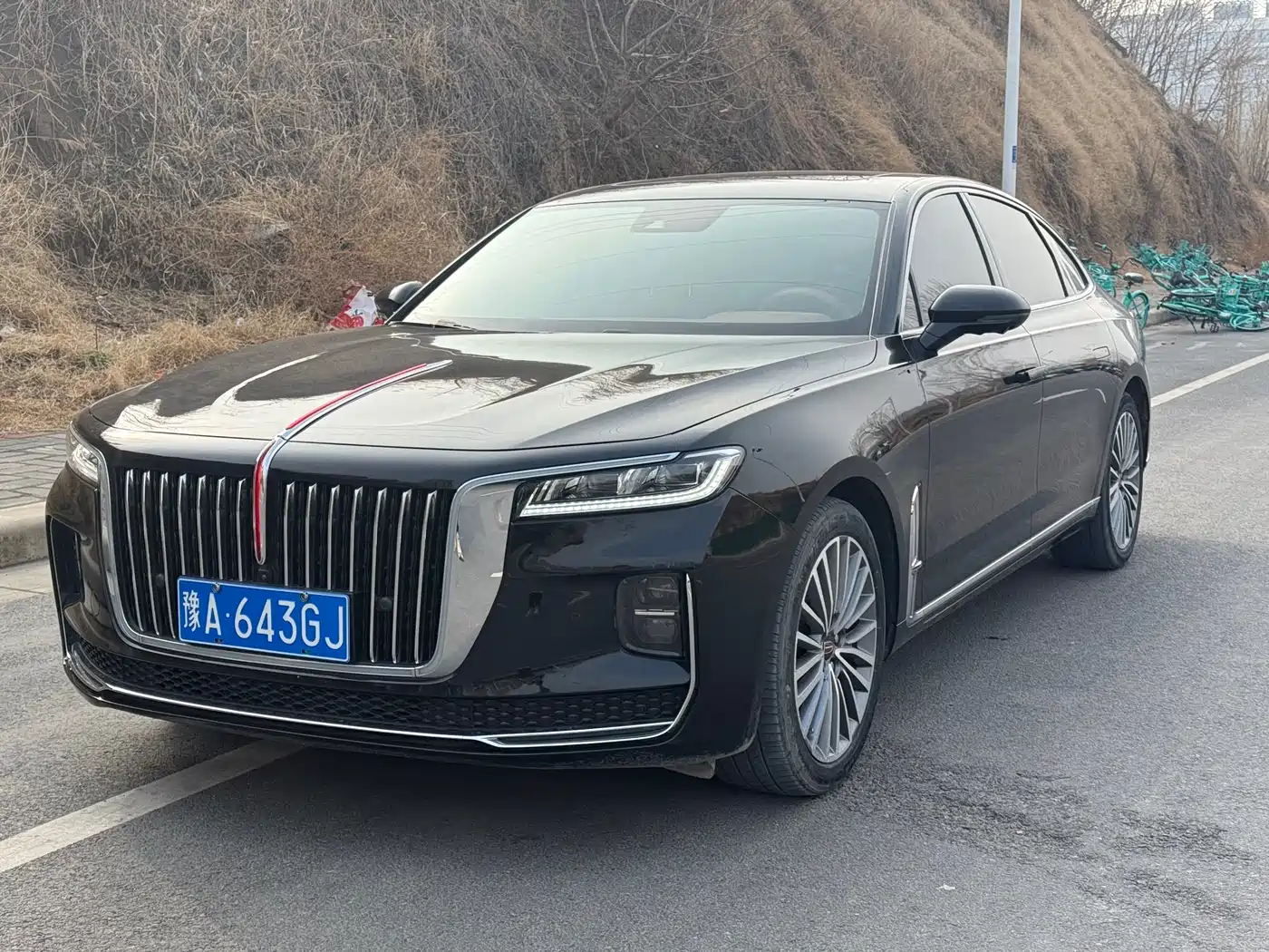 Hongqi HONGQI H9