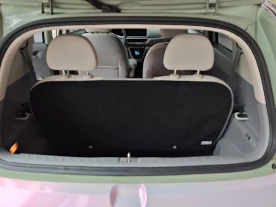 Ora White Cat 2022 2020 305km Luxury
