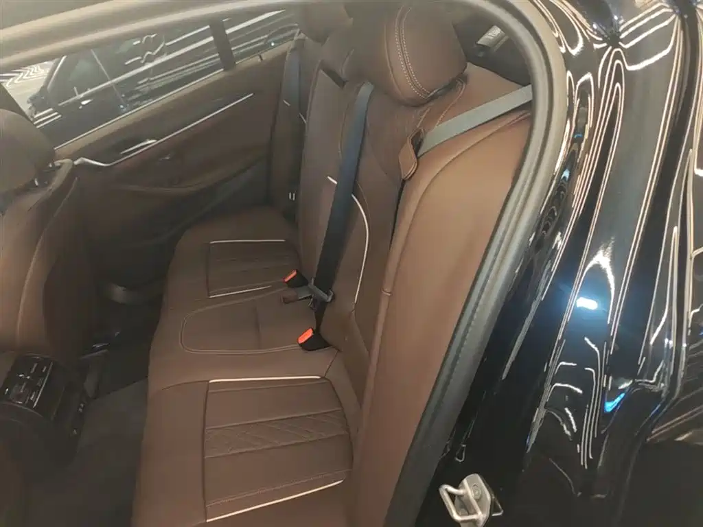 BMW 5 Series 2023 530Li Leading M Sport Package фото 17
