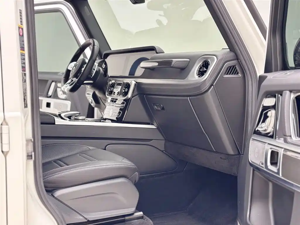 Mercedes-Benz G-Class 2020 G 500 фото 18