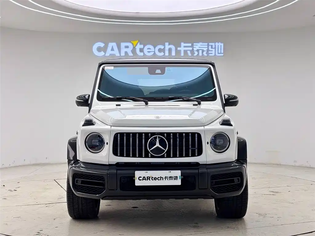 Mercedes-Benz G-Class 2020 G 500 фото 2
