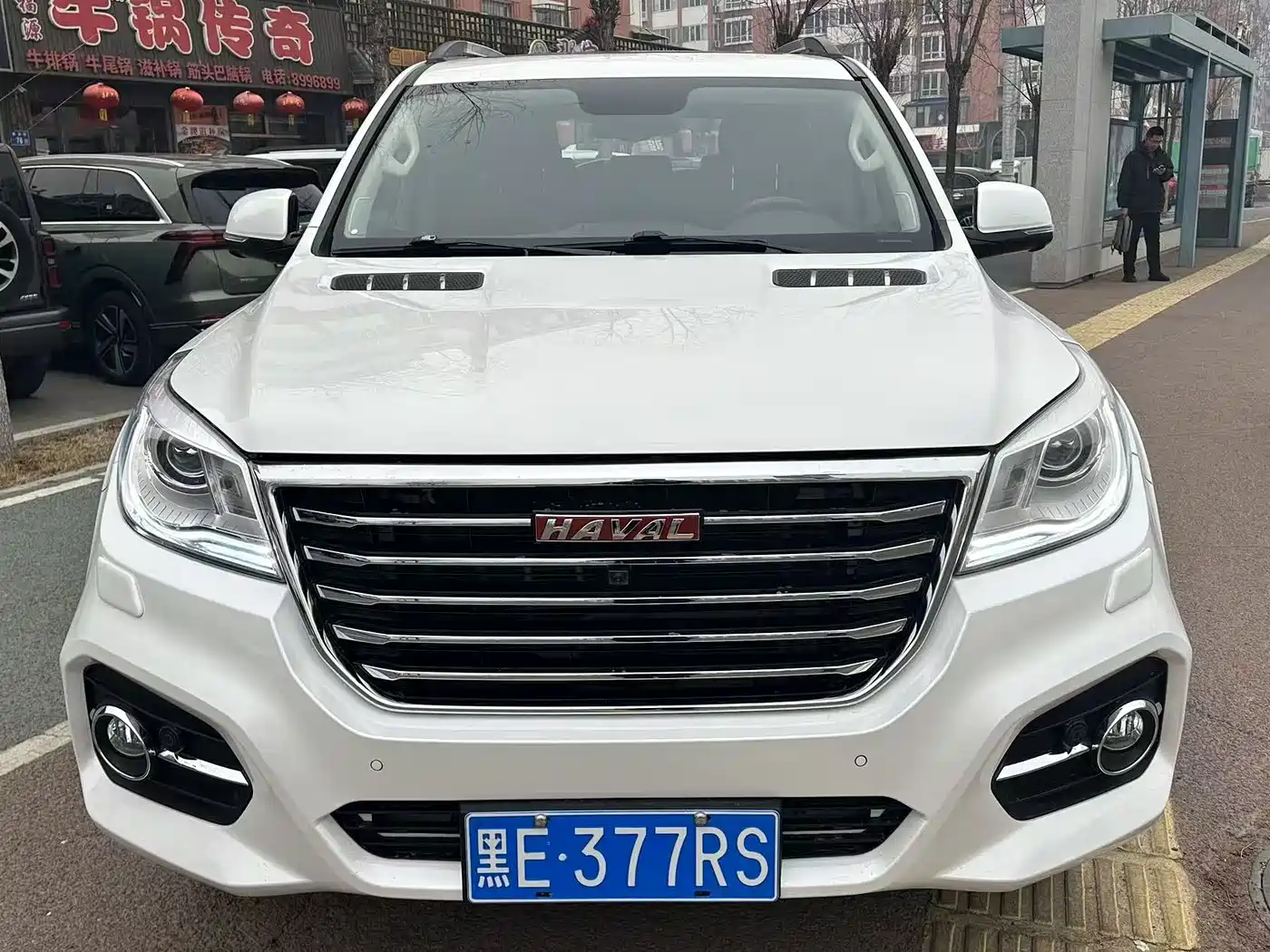 HAVAL H9