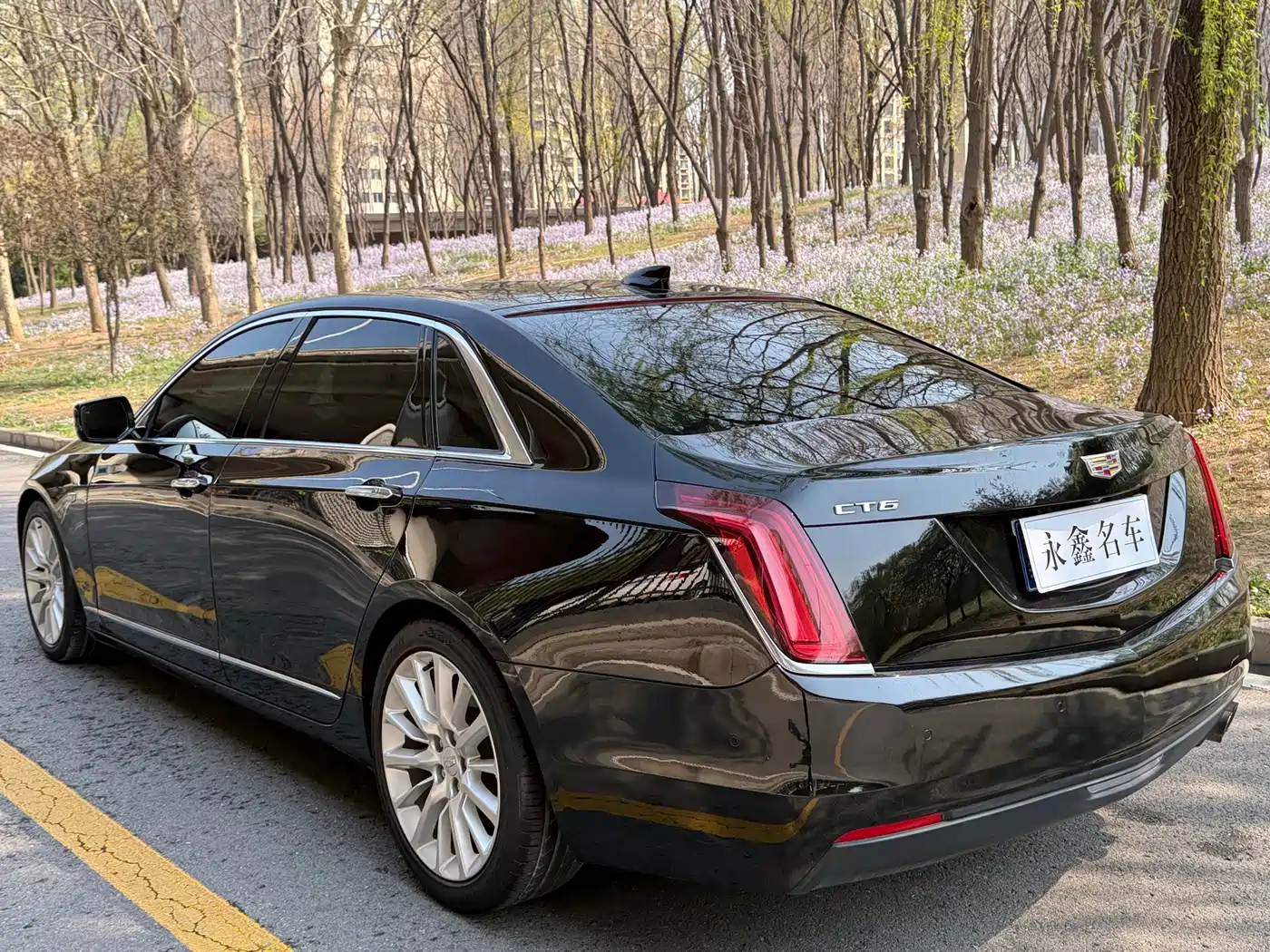 Cadillac CT6 2017 28T Premium фото 9