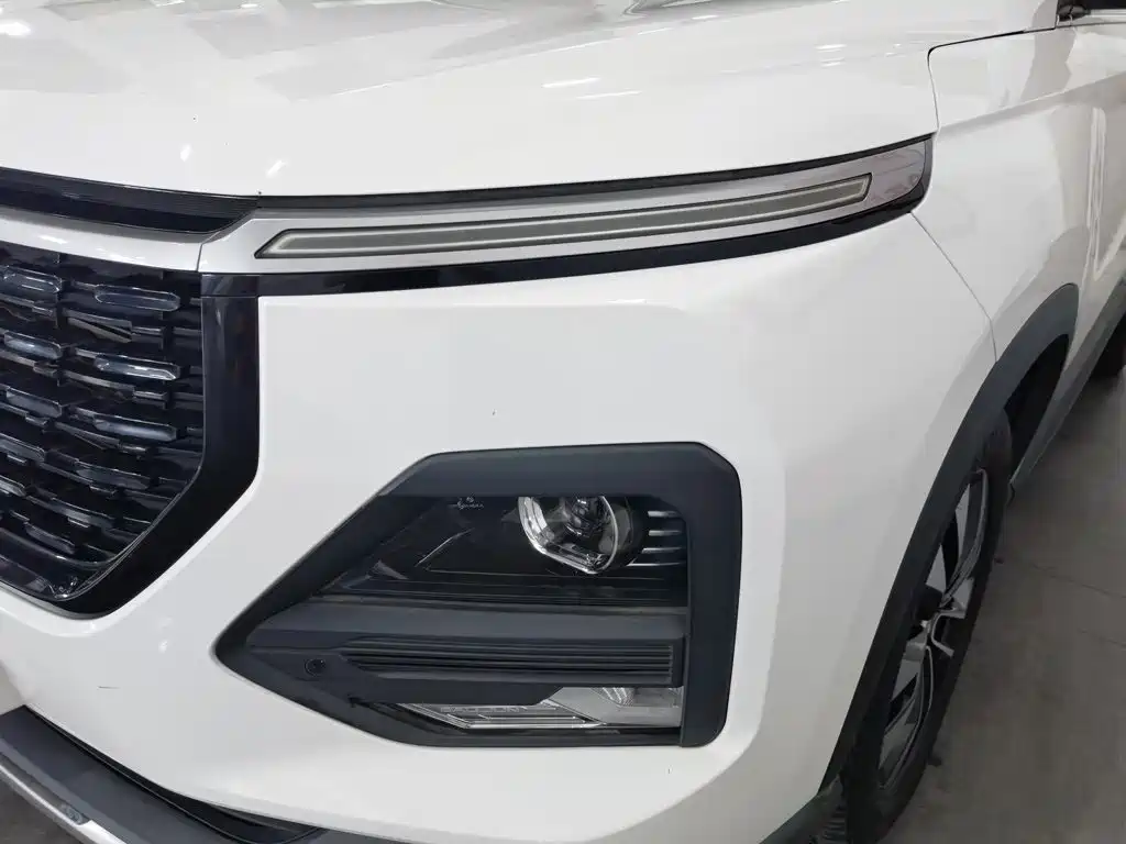 Baojun 530 2021 2021 Global Vehicle Anniversary Edition 1.5T CVT Premium Connected 7-seater