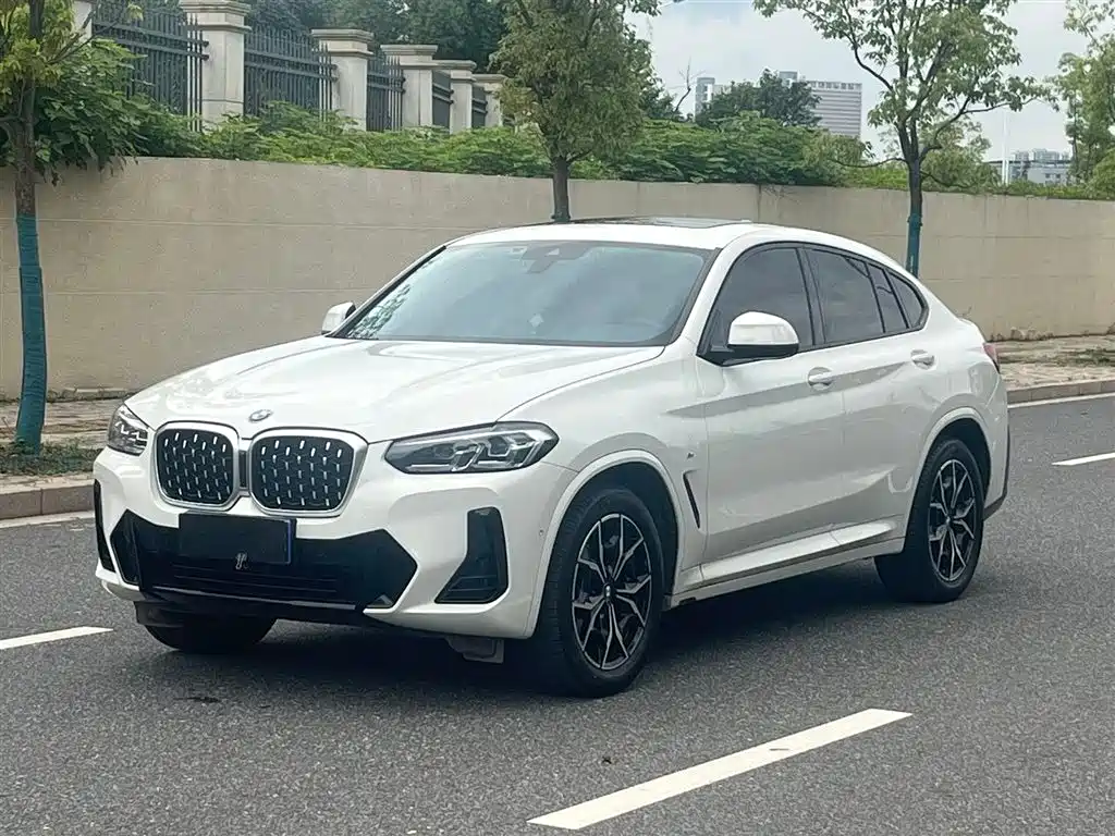 BMW X4 2022 xDrive 25i M Sport Package