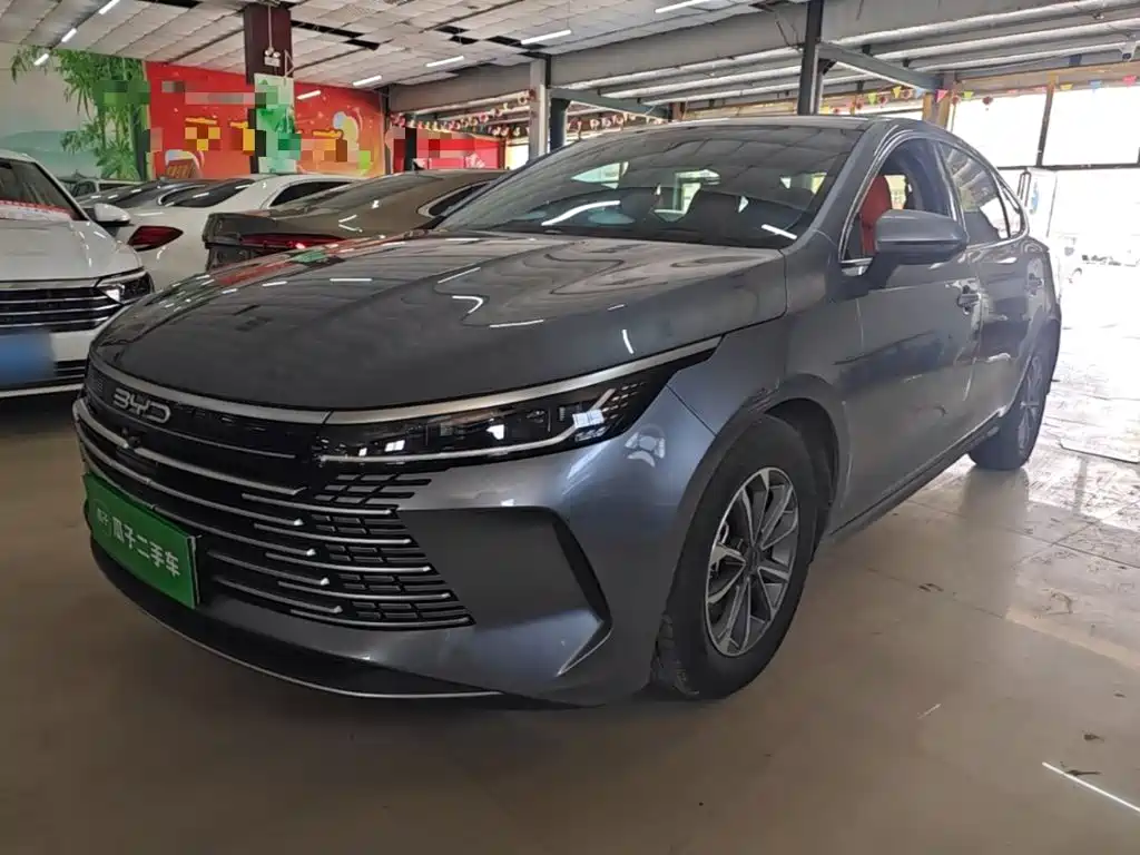 BYD Destroyer 05 2025 2024 Glory Edition DM-i 55KM Luxury