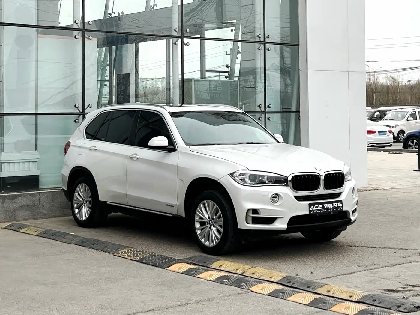 BMW X5 (Import) 2014 xDrive35i Leading фото 3