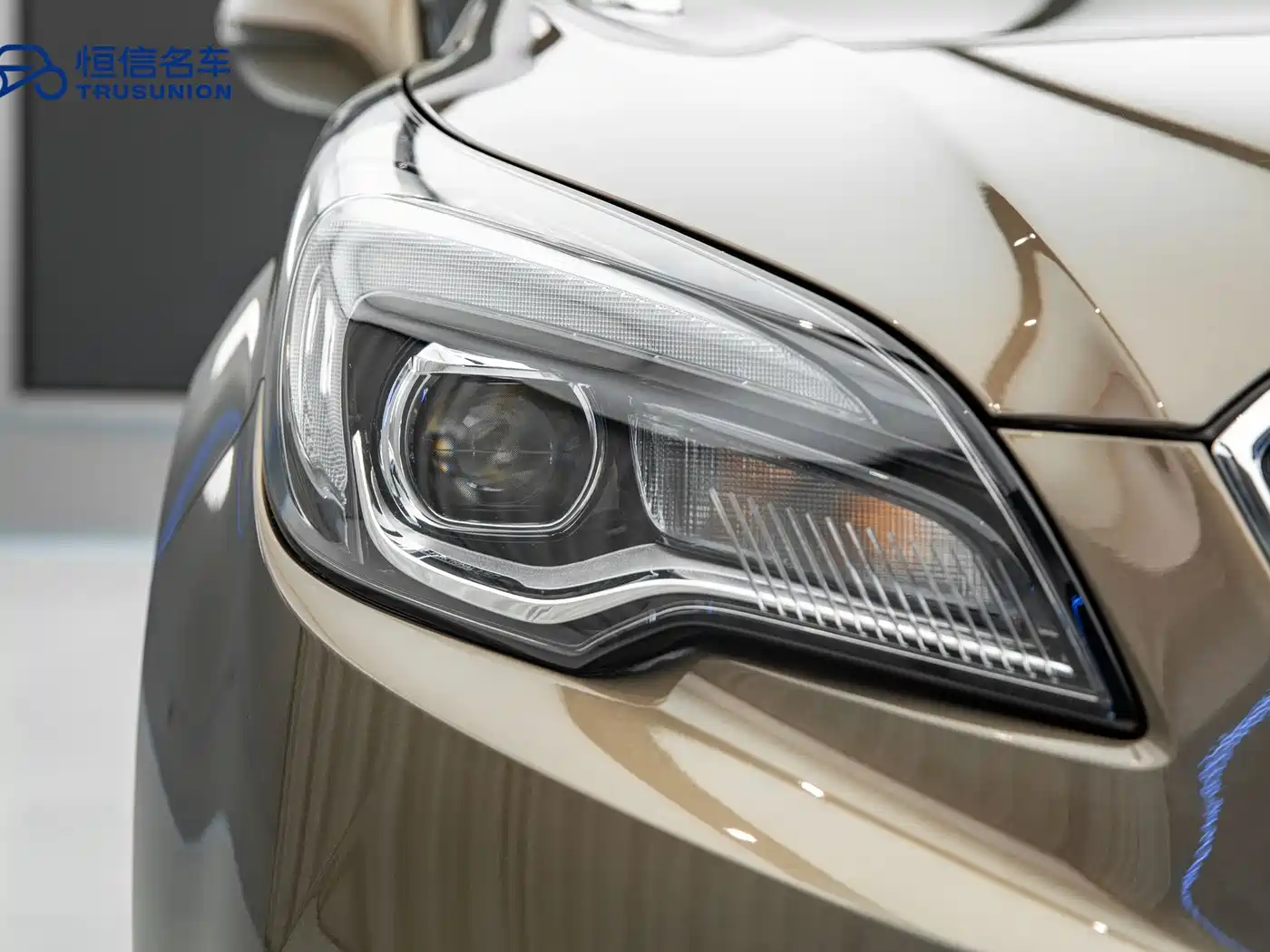 Buick Envision Plus 2019 20T 2WD Luxury Type China V фото 9