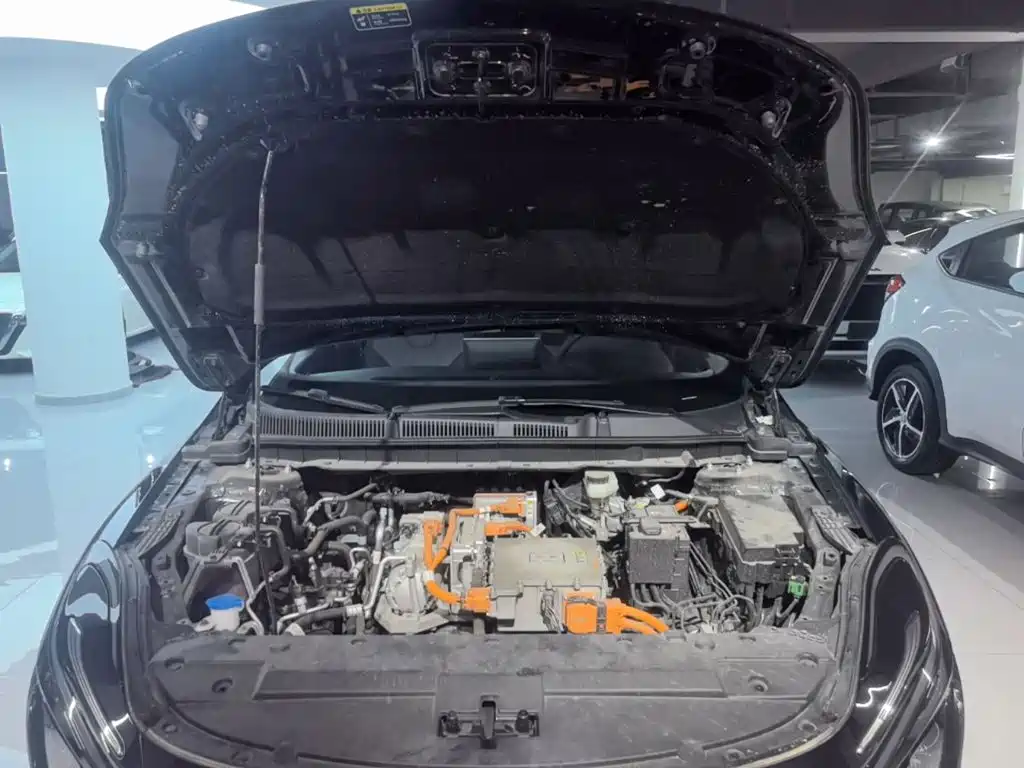 Hongqi E-QM5 2025 2024 Model 610km PLUS