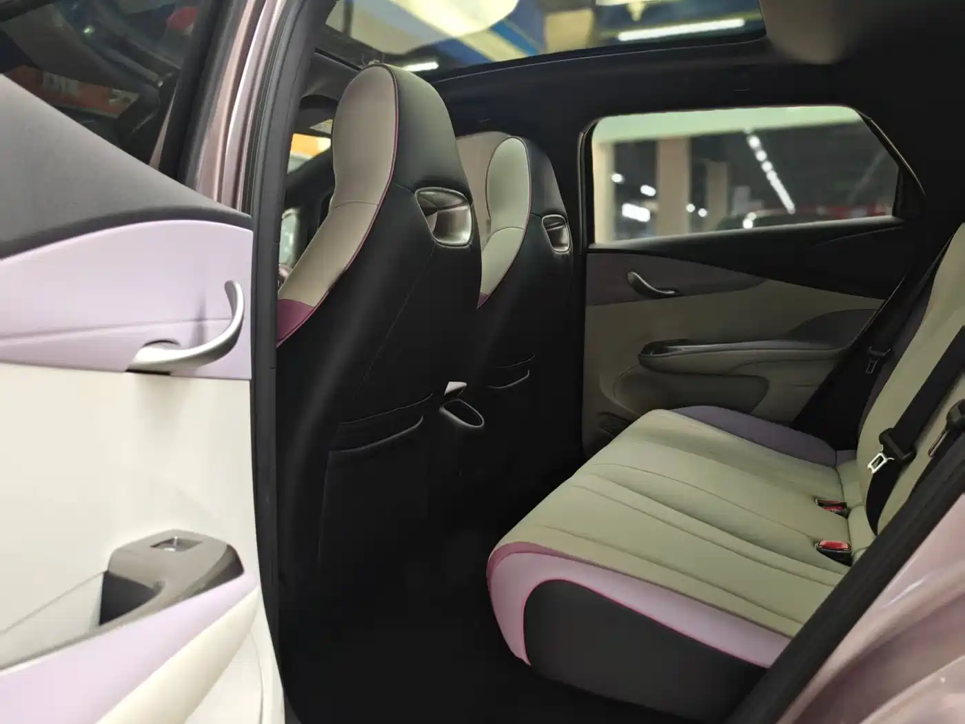 BYD Dolphin 2022 2021 Model 405km Fashion Edition