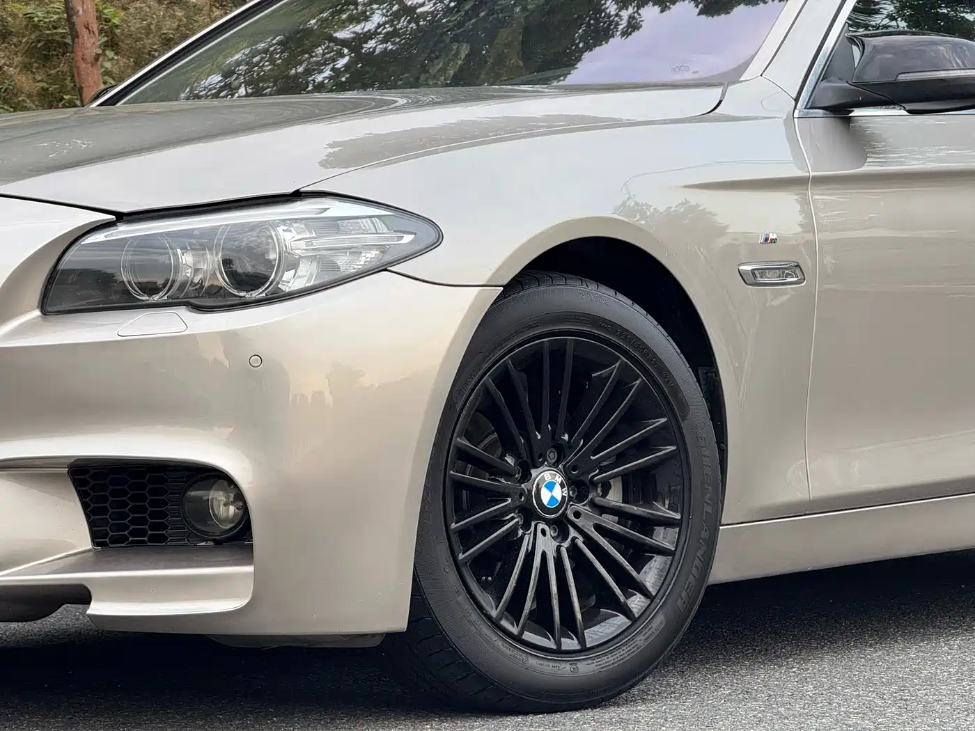 BMW 5 Series 2014 525Li Leading фото 4