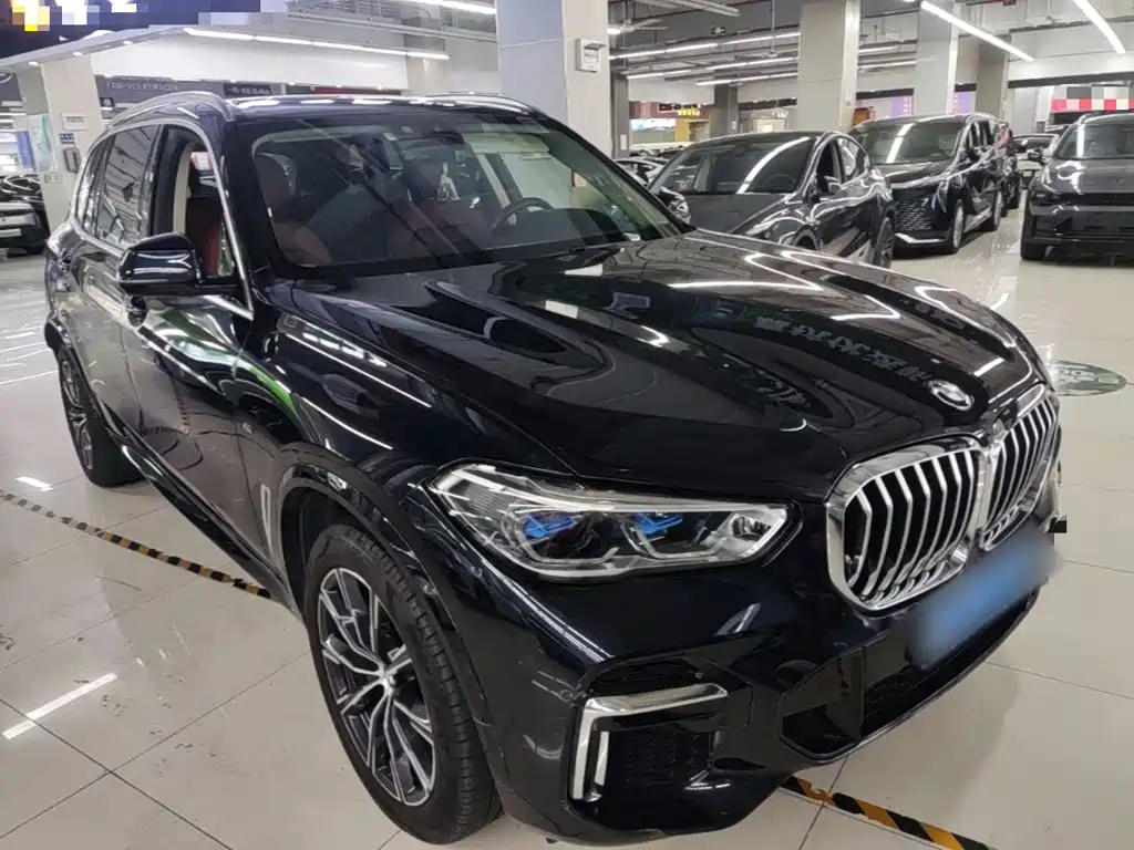 BMW X5 2022 2022 xDrive 30Li Premium M Sport Package