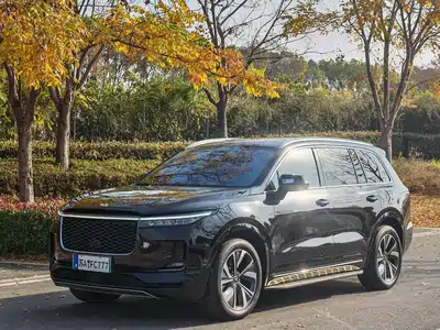 Li Auto ONE