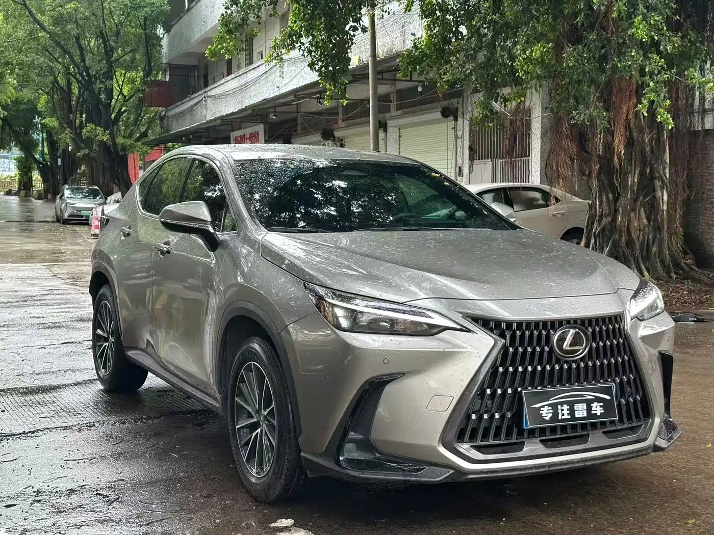 Lexus NX 2025 2024 260 FWD Innovation Edition