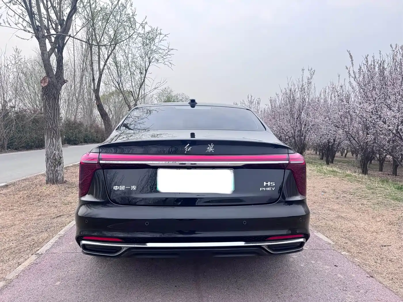 Hongqi H5 PHEV 2025 130 Super Hybrid Edition фото 8