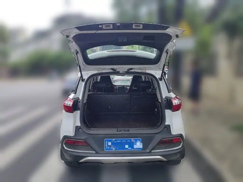 Photo 20 - Leopaard CS9
