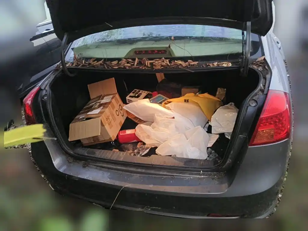Фото 5 - Buick Excelle