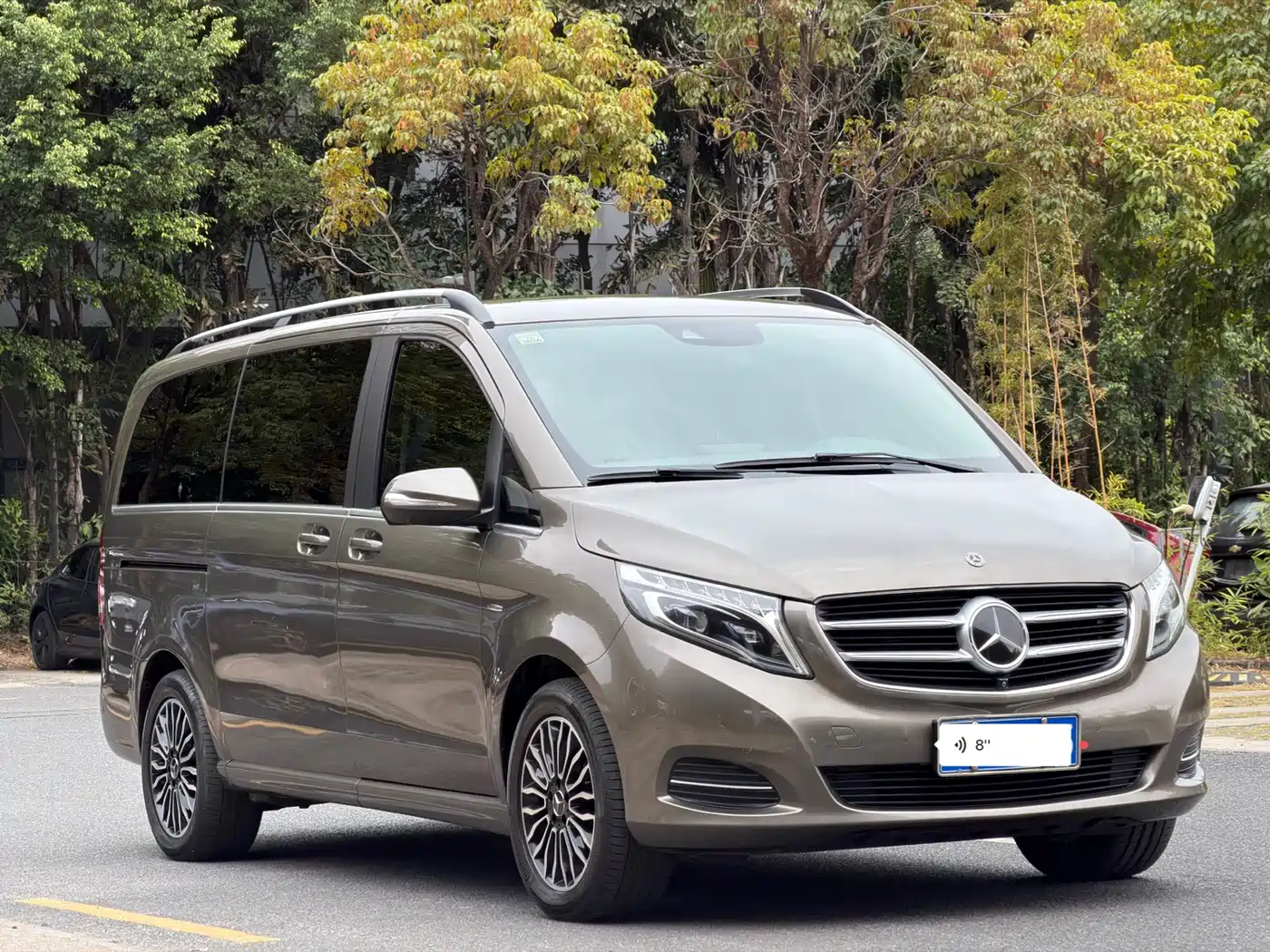 Mercedes-Benz V-Class 2018 V 260 Premium Edition China V фото 3