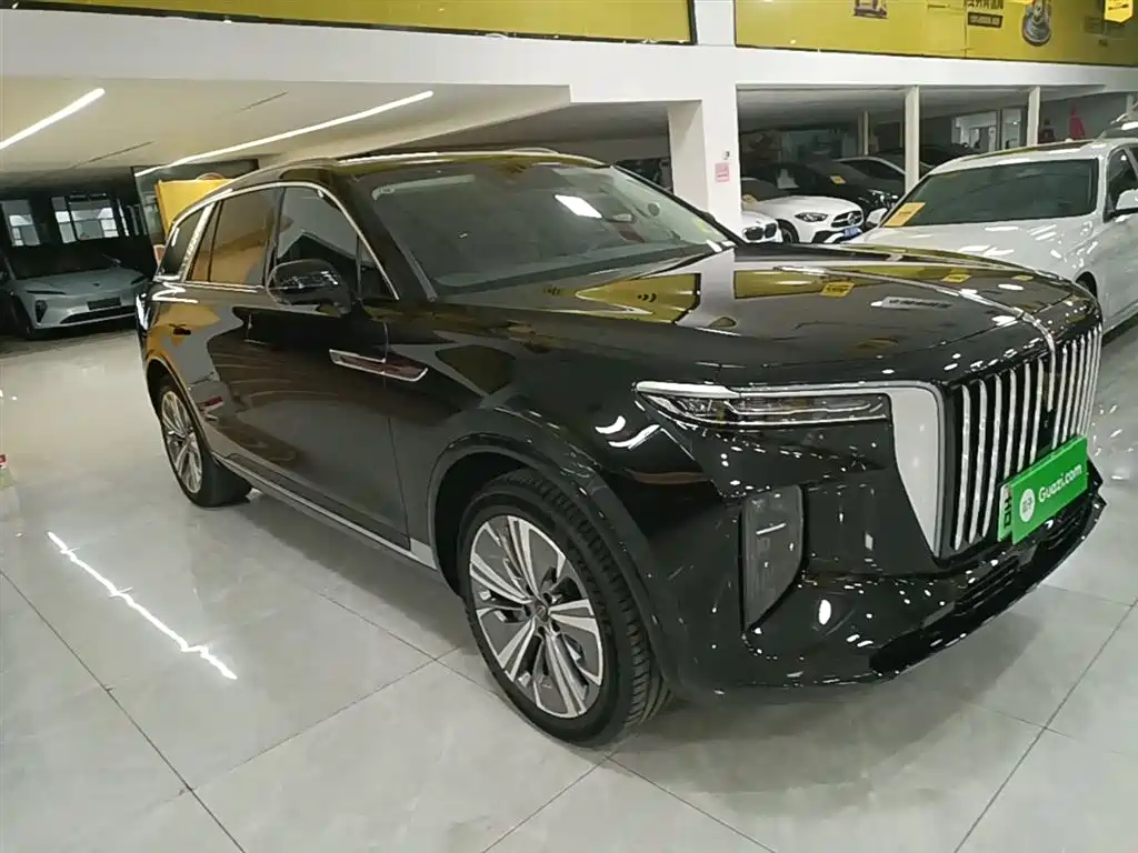 Hongqi E-HS9 2022 690km Qi Xiang Edition (6-seater) фото 4